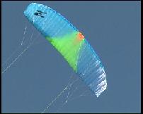 Kite